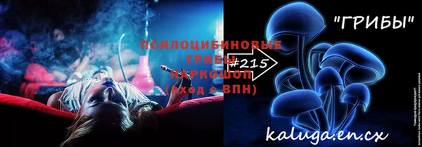 Альфа ПВП Гусев