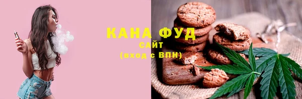 эйфоретик Гусь-Хрустальный