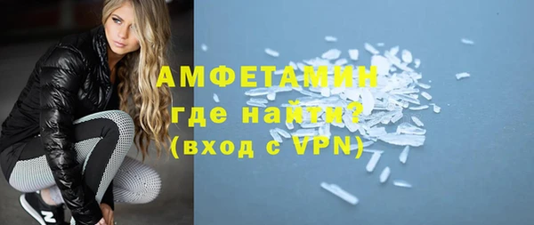 эйфоретик Гусь-Хрустальный