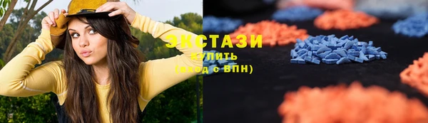 эйфоретик Гусь-Хрустальный