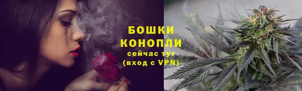 эйфоретик Гусь-Хрустальный
