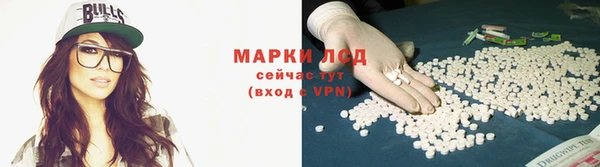 Альфа ПВП Гусев