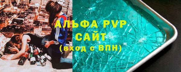 эйфоретик Гусь-Хрустальный