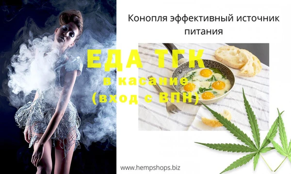 эйфоретик Гусь-Хрустальный