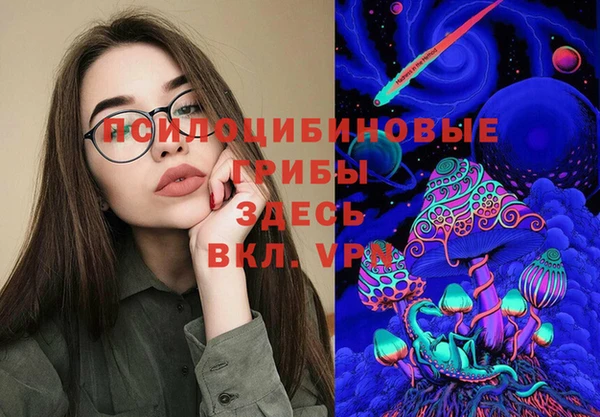 эйфоретик Гусь-Хрустальный