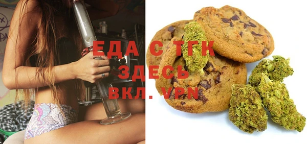 эйфоретик Гусь-Хрустальный