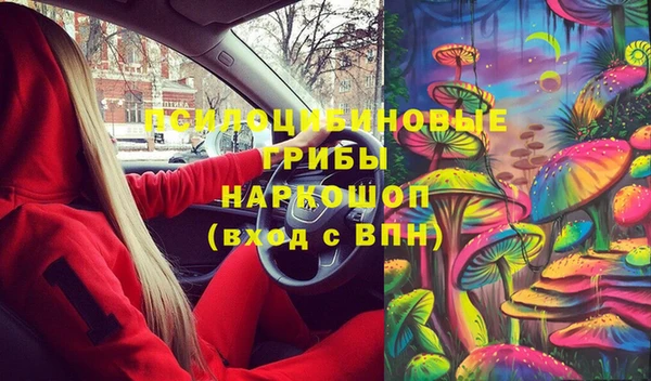 прущая мука Гусиноозёрск