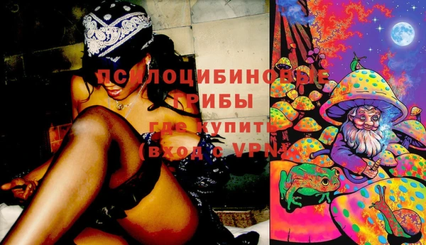 прущая мука Гусиноозёрск