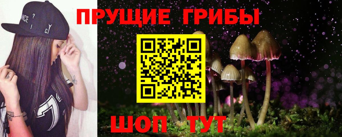 где можно купить   Вход с VPN  Можга  Галлюциногенные грибы MAGIC MUSHROOMS 