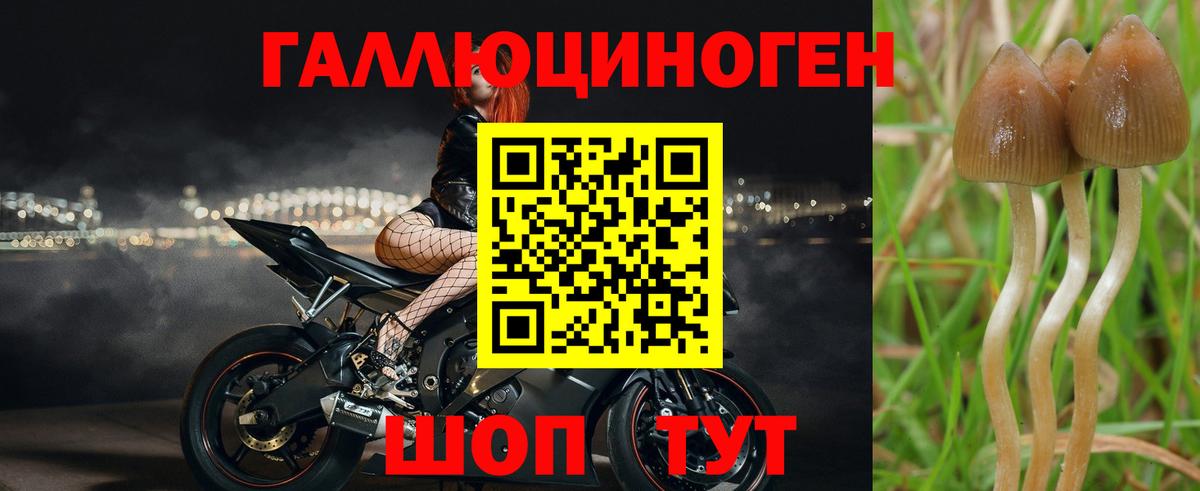 Галлюциногенные грибы мицелий  Можга  Галлюциногенные грибы мухоморы 