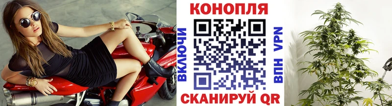 Канабис MAZAR  Можга 